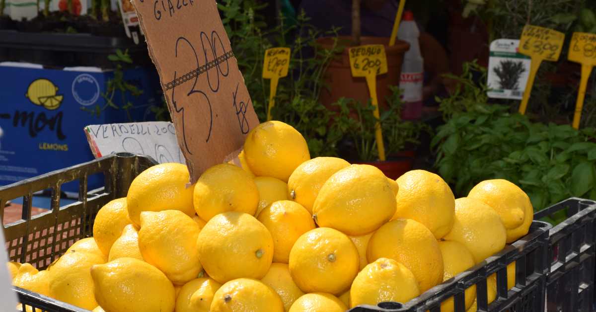 mercato sircusapress