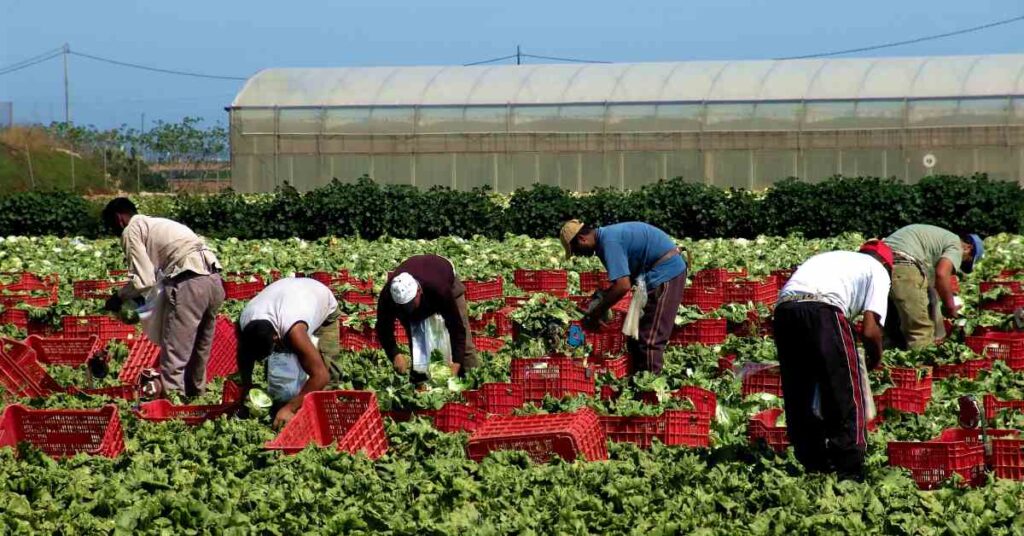 lavoratori migranti siracusapress