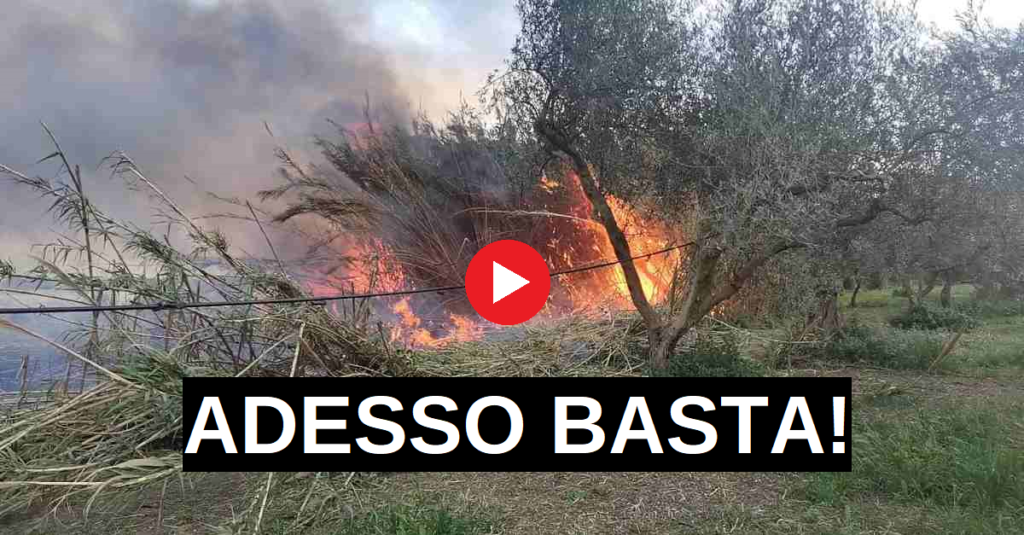 daily incendi siracusapress
