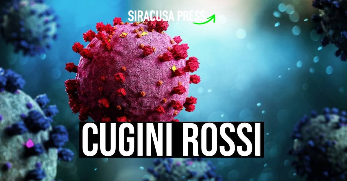 copertina zona rossa lentini e carlentini siracusapress