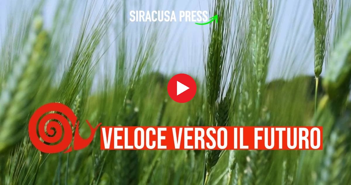 slow food sicilia siracusapress