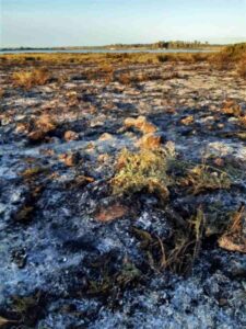 incendio vendicari siracusapress