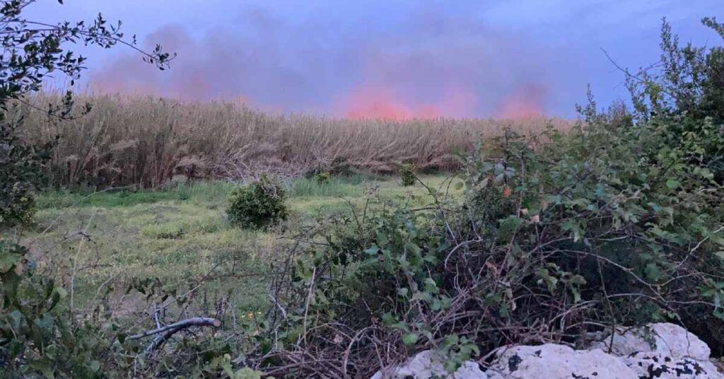 incendio vendicari siracusapress