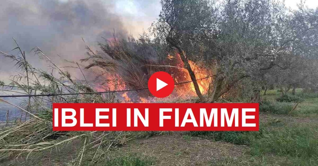 incendi siracusapress