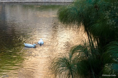 fonte aretusa siracusapress