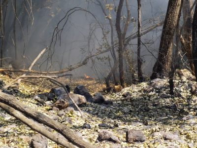 incendi val d'anapo siracusapress