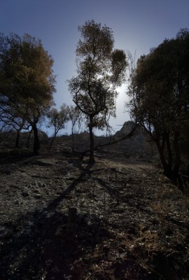 incendi valle dell'anapo siracusapress