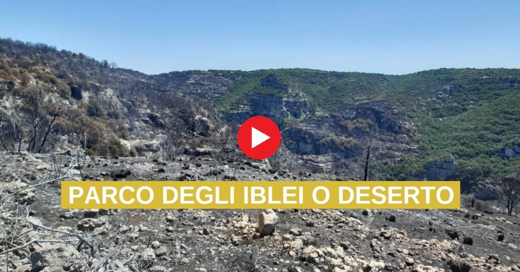 copertina incendi siracusapress