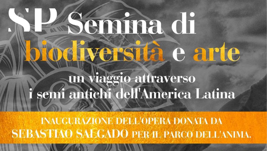siracusapress