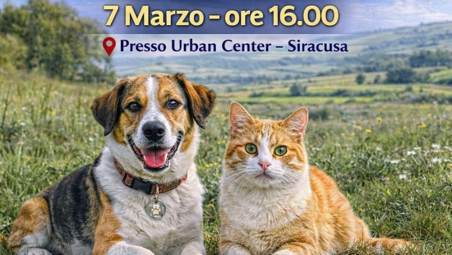 Siracusapress.it